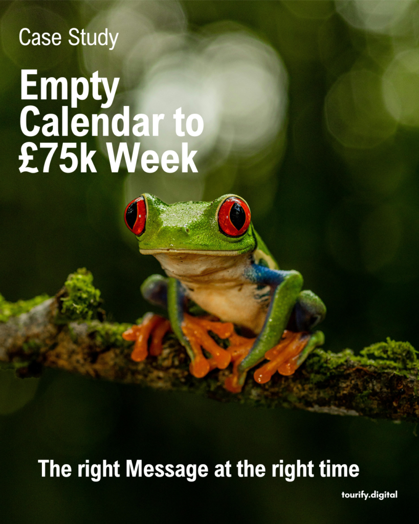 frog in costa rica