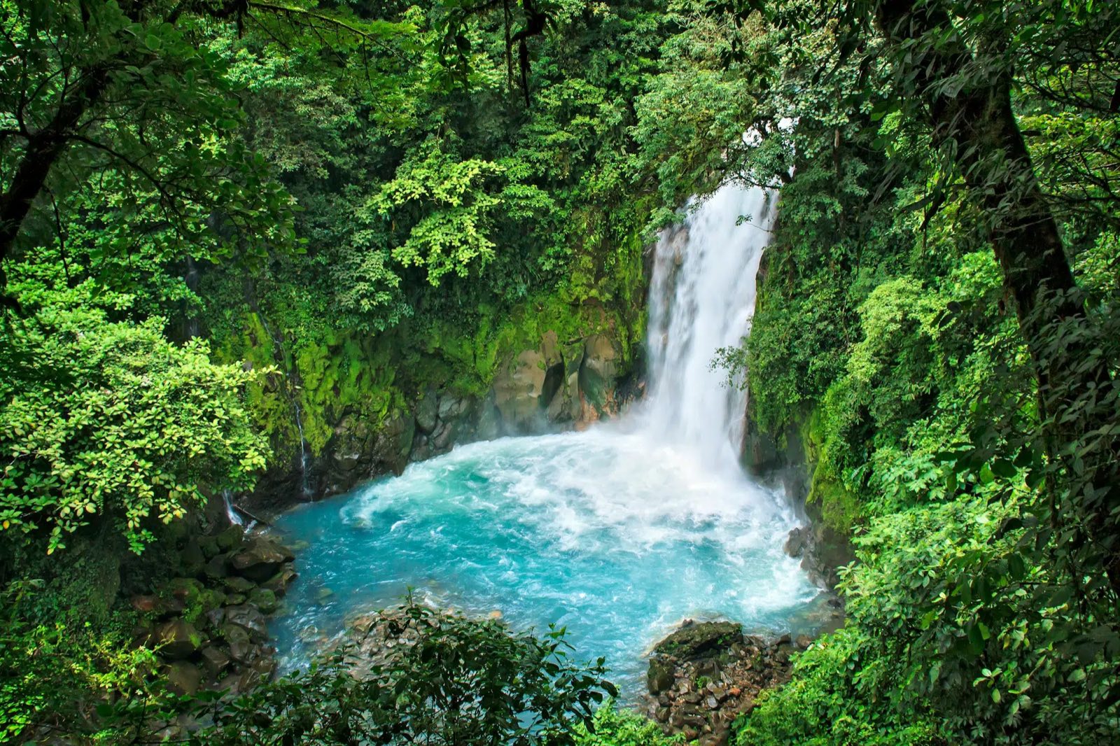 Río Celeste waterfall in the Costa Rica rainforest